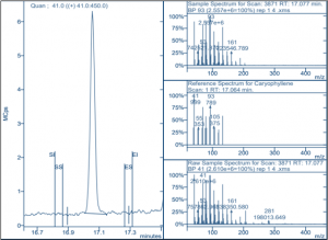 β-Caryophllene peaks from terpene analysis of cannabis