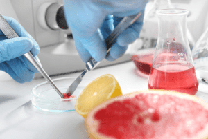 Food Analysis using Gas Chromatography and Liquid Chromatography