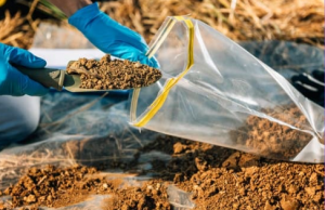 Forensic Soil Analysis - Chromatography