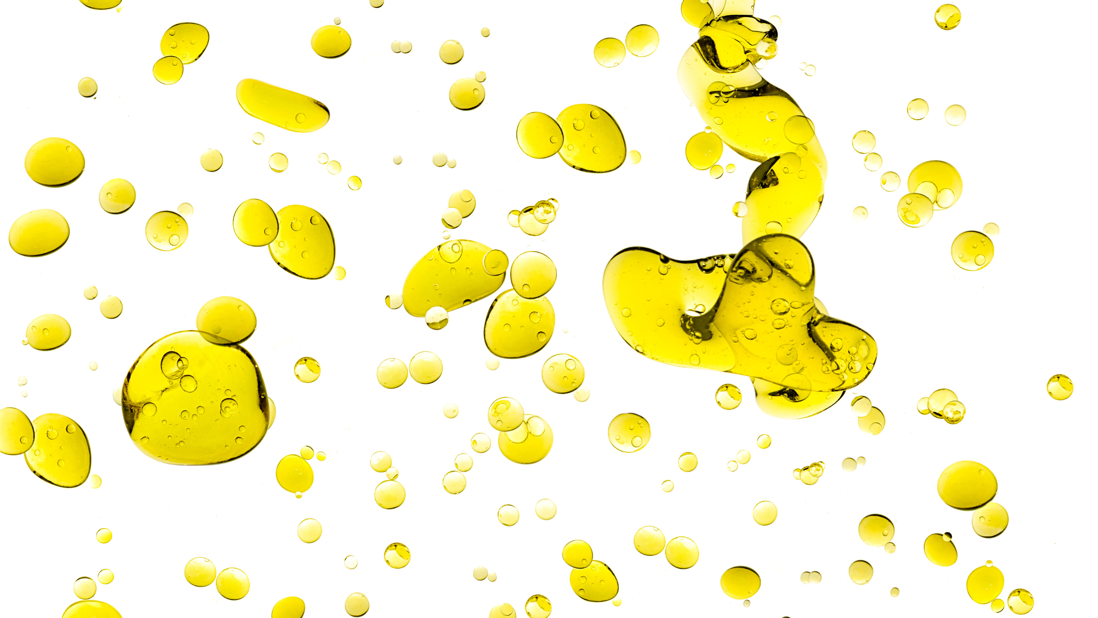 Comparison of FAME Analysis in Olive Oil by GCFID and GCMS