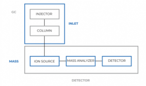 Gas Chromatography Mass Spectrometry (GC-MS) | Analysis